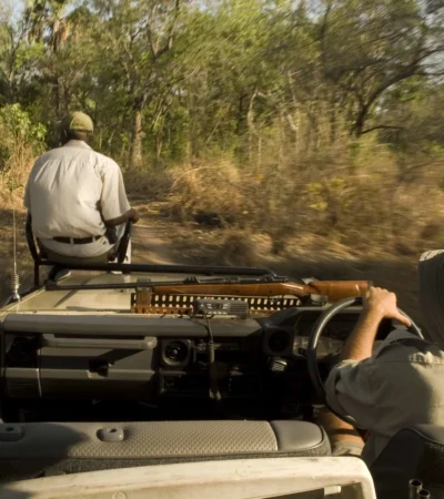game drive, niassa safari park, mozambique safaris