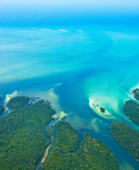 aerial view of quirimbas beach, mozambique safaris