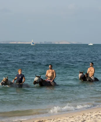 swimming with horses, bazaruto beach, mozambique safari holidays