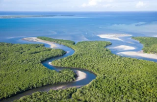 An aerial view of mangrove canals, Quirimbas Beach, Mozambique - Yellow Zebra Safaris