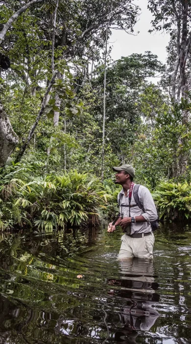 walking safaris, republic of the congo, africa holidays