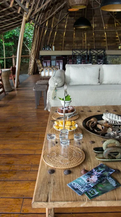 camp lounge