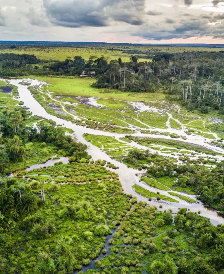 sunset in odzala kokoua national park, republic of the congo safaris