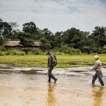 trekking in odzala kokoua national park, republic of the congo safaris