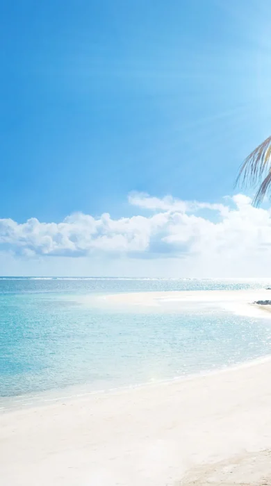 LBM Beach 3