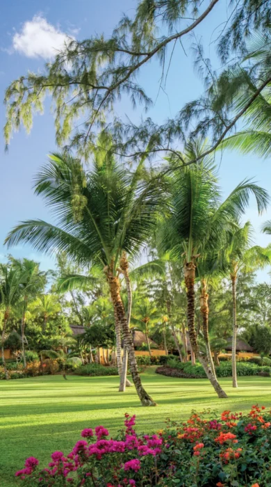 Hi H0G6J 58642821 The Oberoi Mauritius Gardens