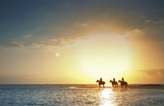 horse riding safaris, east coast mauritius, africa safaris