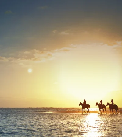horse riding safaris, east coast mauritius, africa safaris