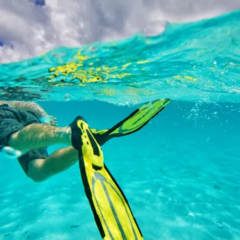 swimming flippers, diving snorkelling undersea walk, mauritius safaris