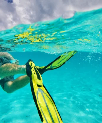 swimming flippers, diving snorkelling undersea walk, mauritius safaris