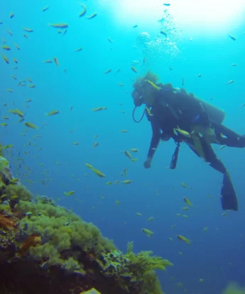 diving snorkelling undersea walk, experiences in mauritius