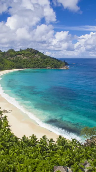 Aerial view of a curved bay, sandy beach and forest, Seychelles - Yellow Zebra Safari