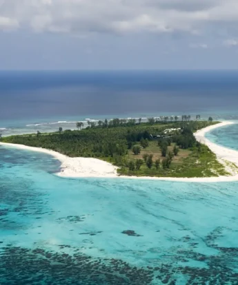 Aerial View of Bird Island.ii