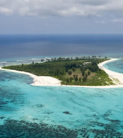 Aerial View of Bird Island.ii