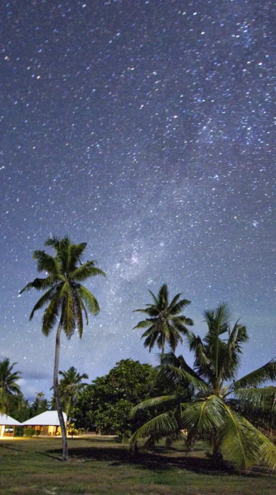 Night Sky on Bird Island.ii