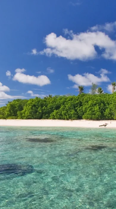 Hirondelle Beach Bird Island