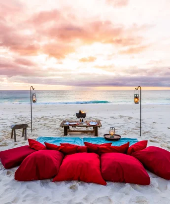 North island beach picnic seychelles yellow zebra safaris