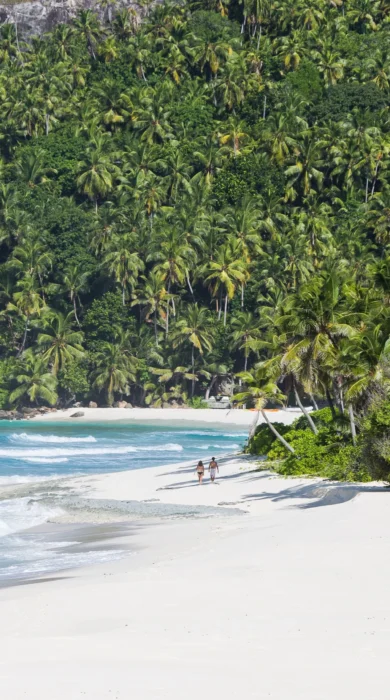 north island beach seychelles yellow zebra safaris