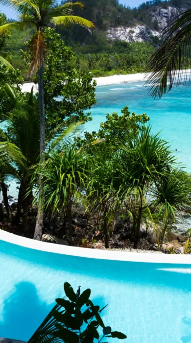 North Island Main Swimming Pool seychelles yellow zebra safaris