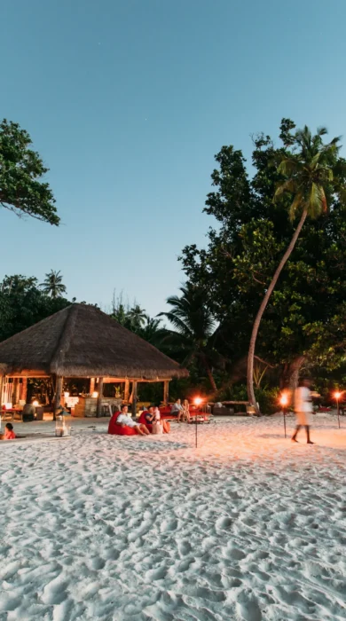 North Island seychelles beach yellow zebra safaris