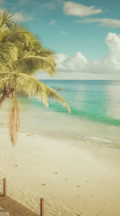 Beach deck