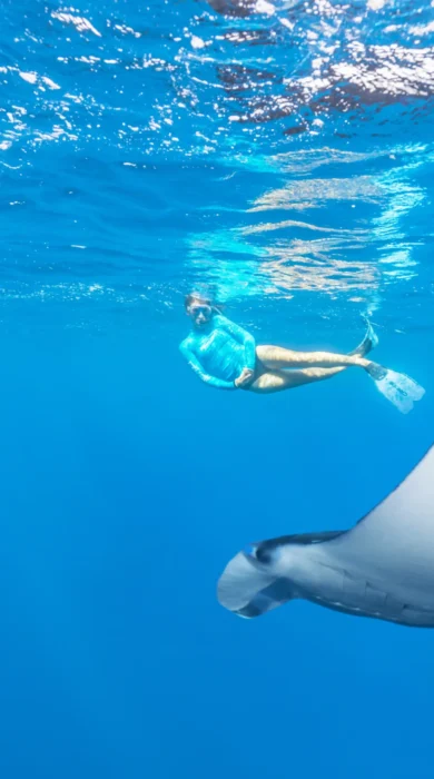 Snorkelling, Alphonse Island, Seychelles