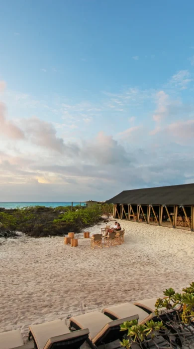 BlueSafari cosmo eco camp surrounding seychelles
