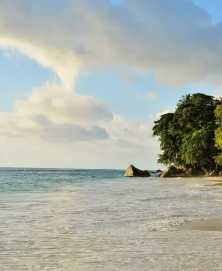 beach, eden bleu hotel, mahe, the seychelles