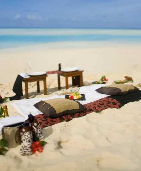 beach picnic, mahe island, seychelles, africa safaris
