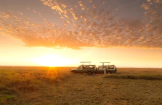 Serengeti Safari Camp, Tanzania safaris