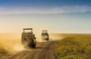Game drive, Lemala Ngorongoro, Tanzania