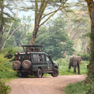 ngorongoro crater lodge game drive