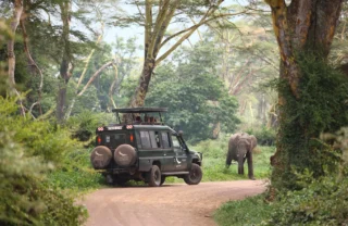 ngorongoro crater lodge game drive