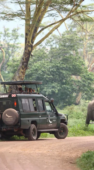 ngorongoro crater lodge game drive