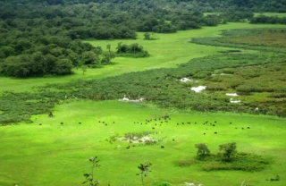 Arusha National Park, Tanzania safari
