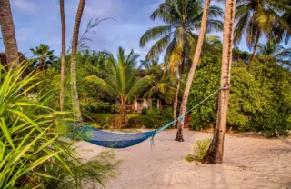 Hammock, Pongwe Beach Hotel, Zanzibar, Tanzania