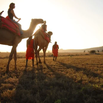Camel trekking, Lewa Safari Camp, Kenya activities