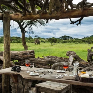 Elephant, waterhole, Ol Donyo, Kenya luxury safari