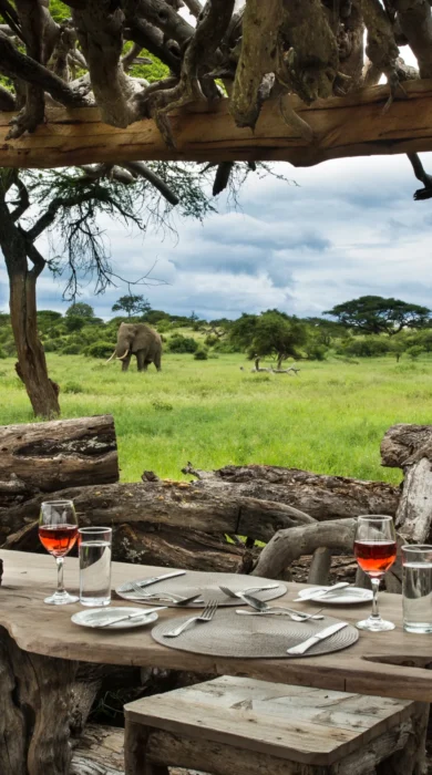 Elephant, waterhole, Ol Donyo, Kenya luxury safari