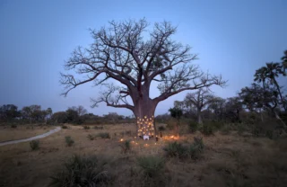 Private dining, &Beyond Sandibe Okavango Safari Lodge, Botswana