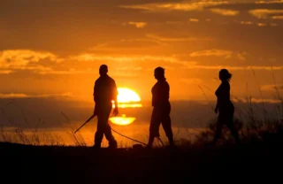 Walking safari, Zarafa Camp, the Linyanti, Botswana