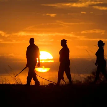 Walking safari, Zarafa Camp, the Linyanti, Botswana
