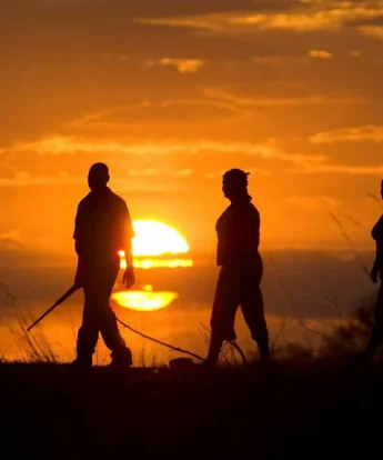 Walking safari, Zarafa Camp, the Linyanti, Botswana