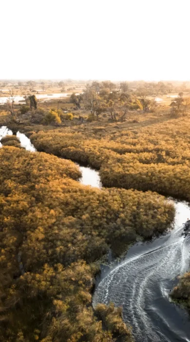 Aerial view of a boat heading upstream on a bendy river, Wilderness Vumbura Plains, Botswana - Yellow Zebra Safaris