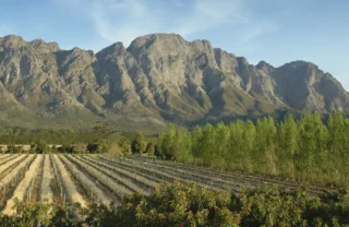 the winelands, franschhoek, south africa