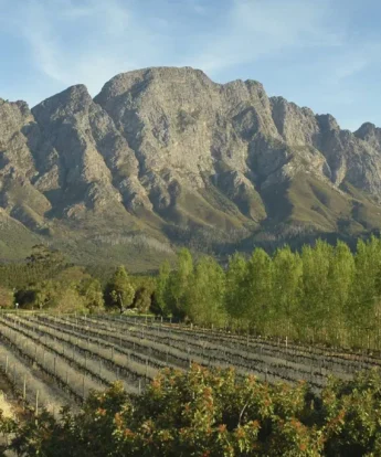 the winelands, franschhoek, south africa