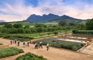 babylonstoren, south africa