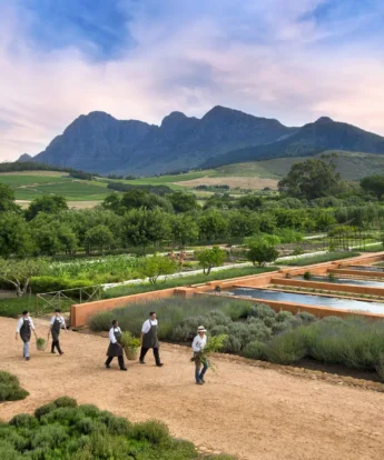 babylonstoren, south africa