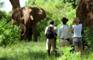the founders of zambias walking safaris, trips