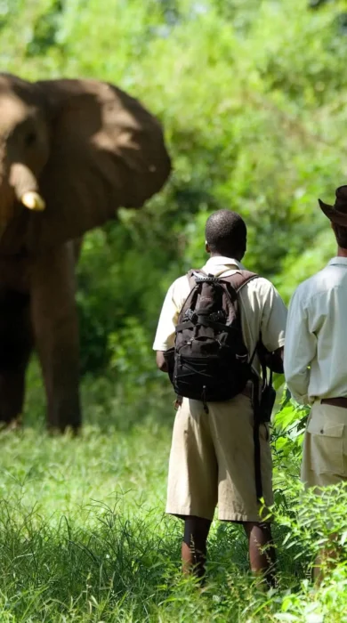 the founders of zambias walking safaris, trips